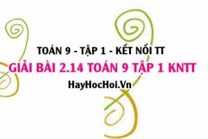 Bài 2.14 Toán 9 tập 1 SGK Kết nối tri thức